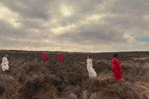 fot. Wojtek Kaniewski