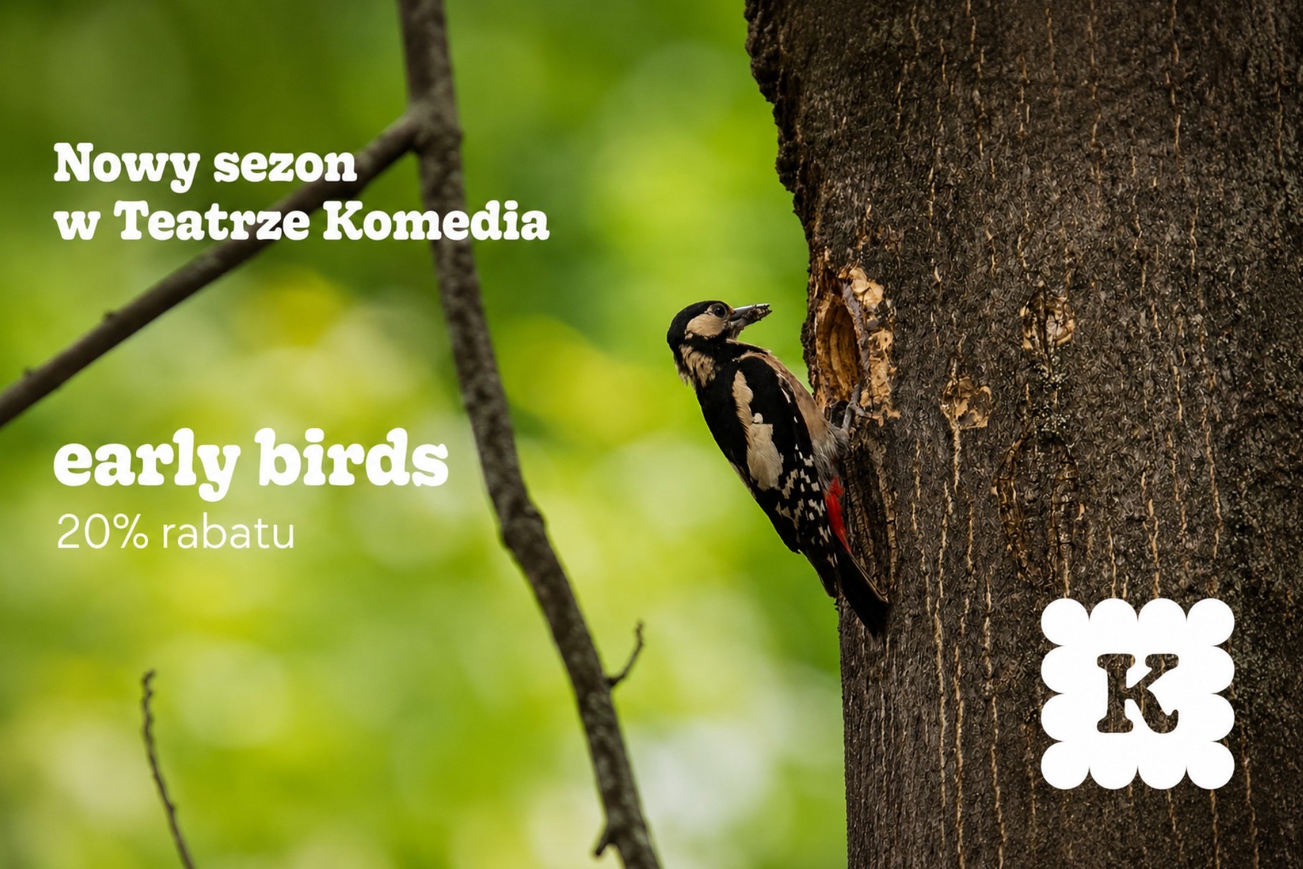 mat. plakat Teatru Komedia
