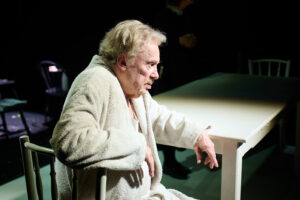 fot. Teatr Gudejko