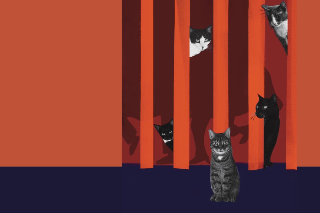 infografika: Teatr Guliwer w Warszawie
