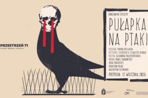 Pułapka na ptaki, Teatr Druga Strefa, plakat