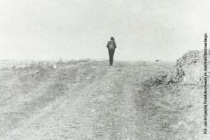 fot. Jan K. Fiołek